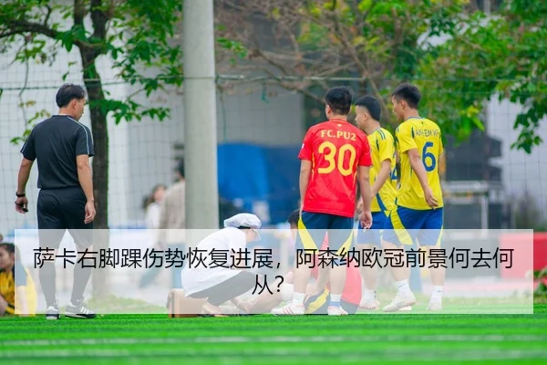 sa-ka-you-jiao-huai-shang-shi-hui-fu-jin-zhan-a-sen-na-ou-guan-qian-jing-he-qu-he-cong-2-969.jpg