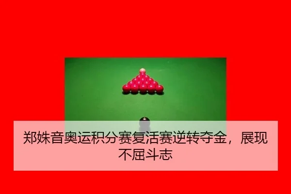 zheng-shu-yin-ao-yun-ji-fen-sai-fu-huo-sai-ni-zhuan-duo-jin-zhan-xian-bu-qu-dou-zhi-2-238.jpg
