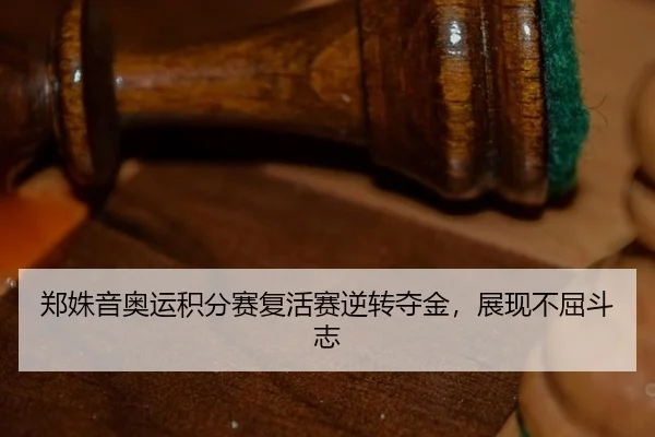 zheng-shu-yin-ao-yun-ji-fen-sai-fu-huo-sai-ni-zhuan-duo-jin-zhan-xian-bu-qu-dou-zhi-3-521.jpg