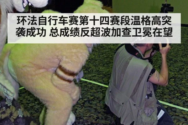 环法自行车赛第十四赛段温格高突袭成功 总成绩反超波加查卫冕在望